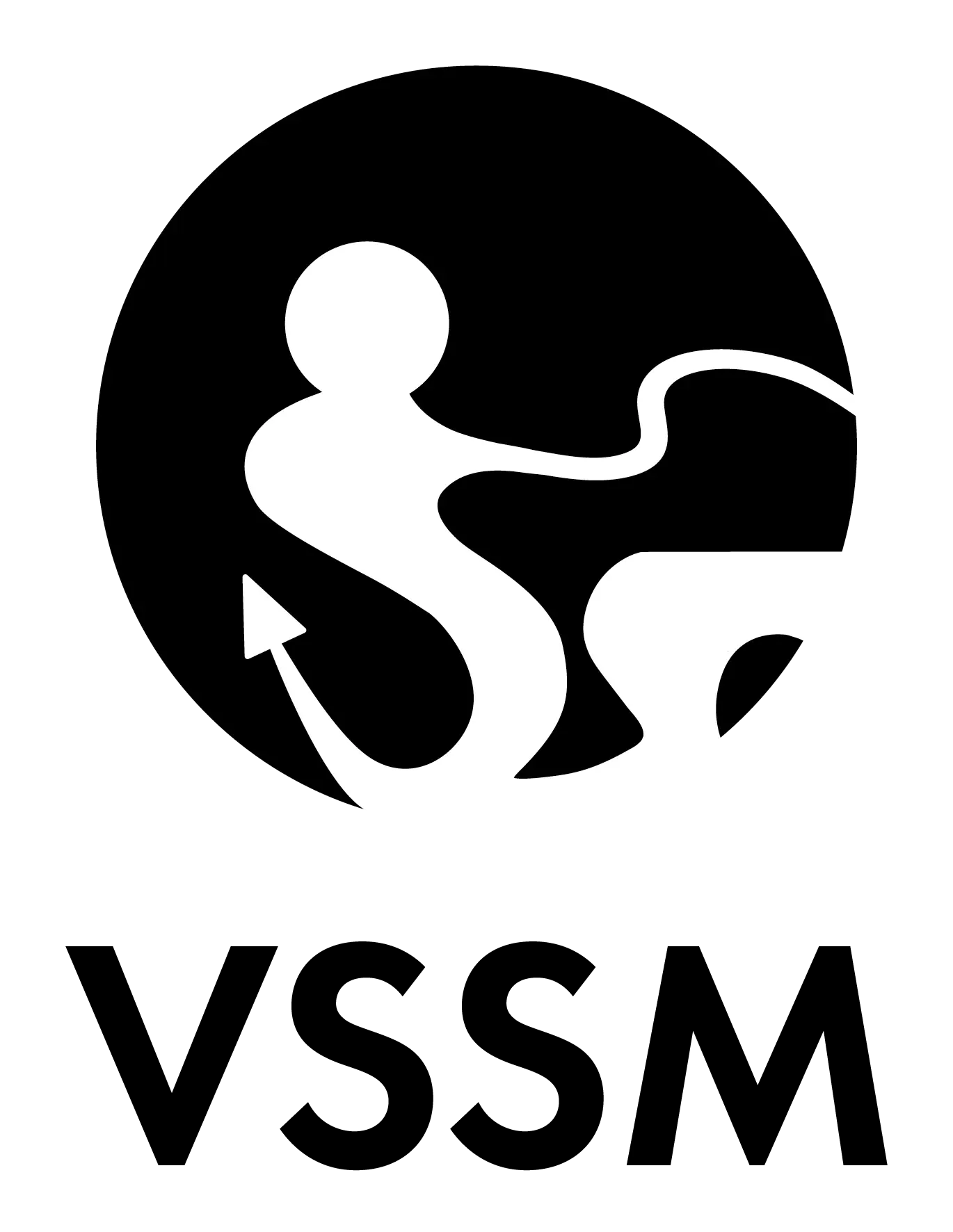 logo vssm rgb